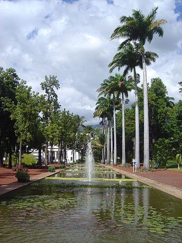 Saint-denis/CENTURY21 Lancastel/immobilier/jardin saint-denis ile de la réunion