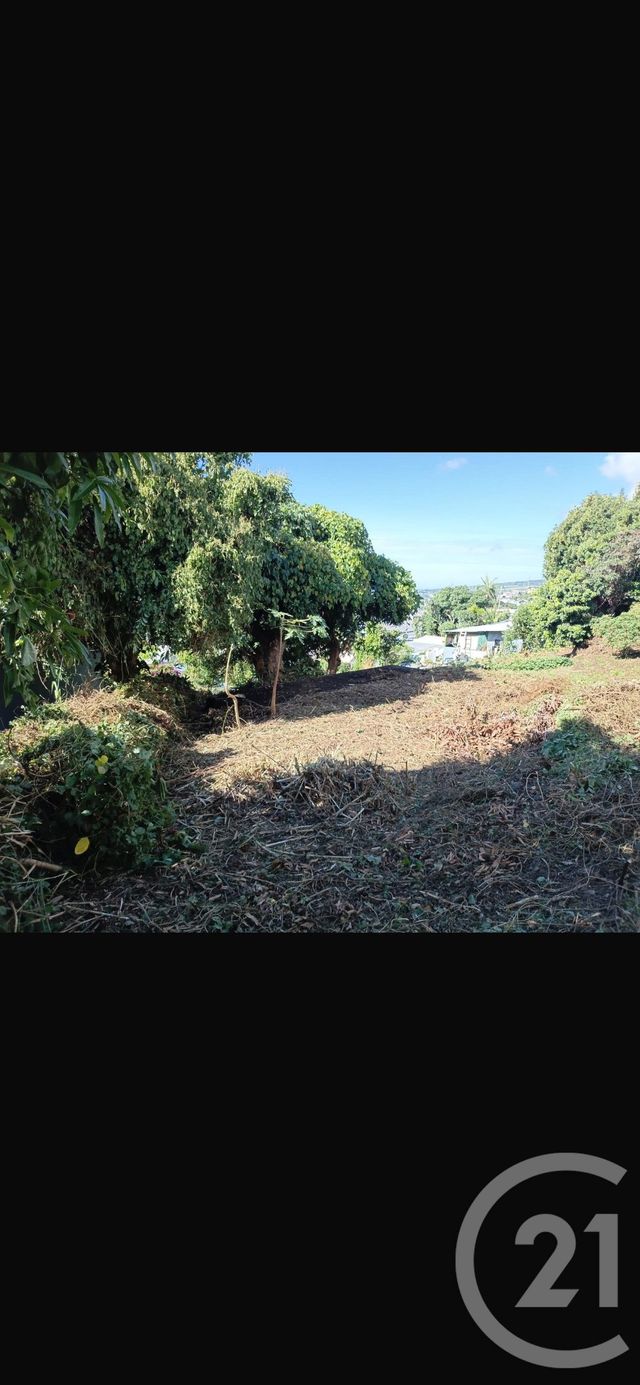 terrain à vendre - 446.0 m2 - ST DENIS - 974 - REUNION - Century 21 Lancastel