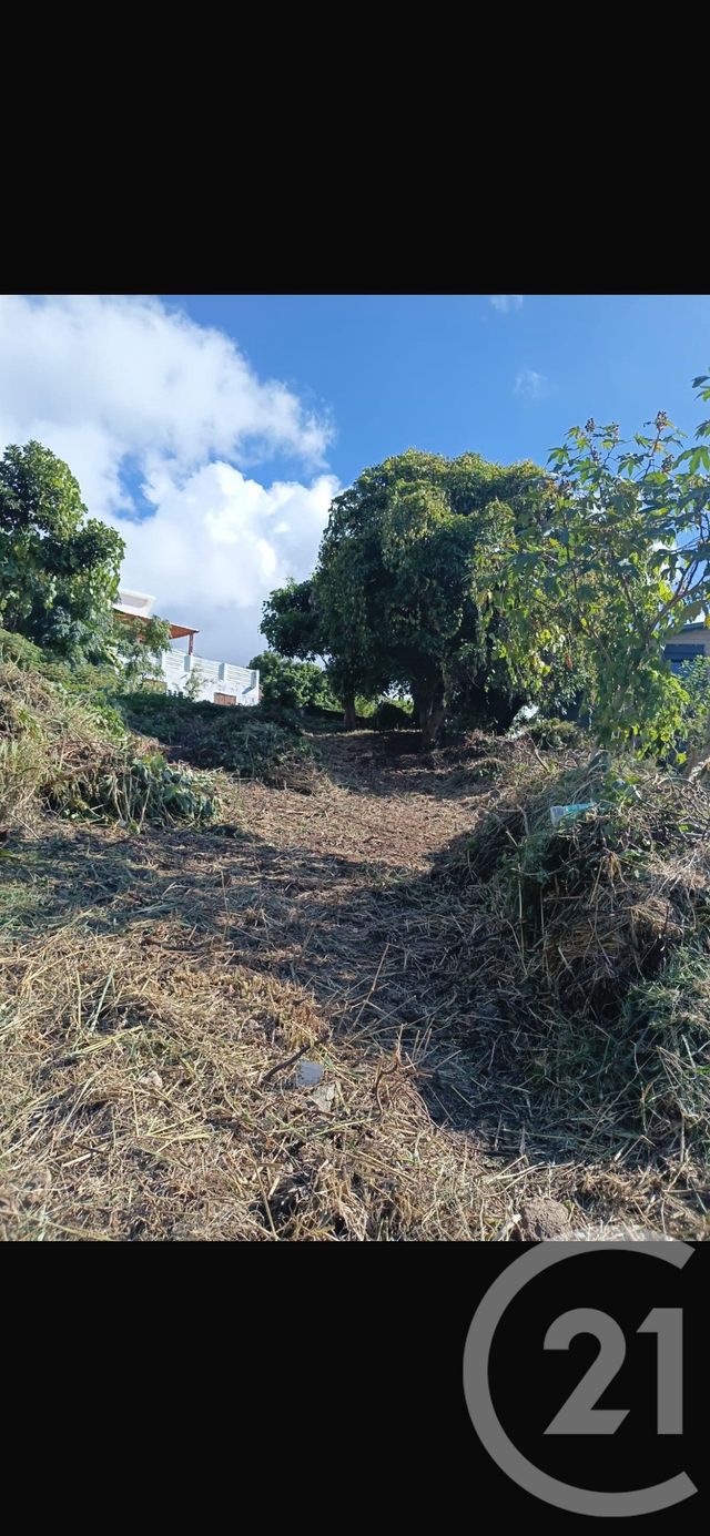 terrain à vendre - 446.0 m2 - ST DENIS - 974 - REUNION - Century 21 Lancastel