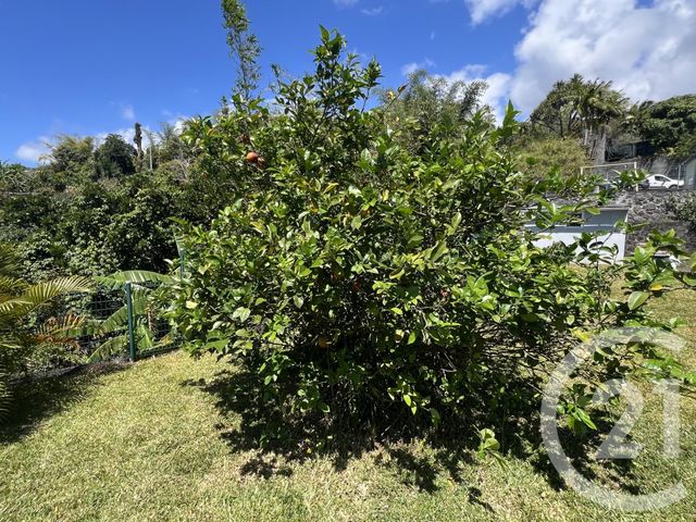 maison à vendre - 5 pièces - 184.0 m2 - ST DENIS - 974 - REUNION - Century 21 Lancastel