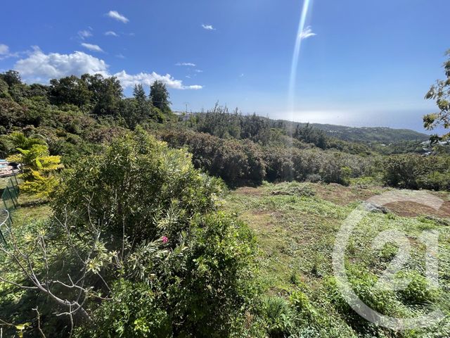 maison à vendre - 5 pièces - 134.66 m2 - ST DENIS - 974 - REUNION - Century 21 Lancastel