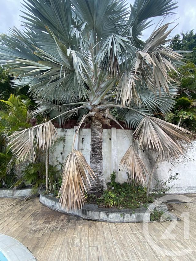 maison à vendre - 5 pièces - 162.0 m2 - ST DENIS - 974 - REUNION - Century 21 Lancastel