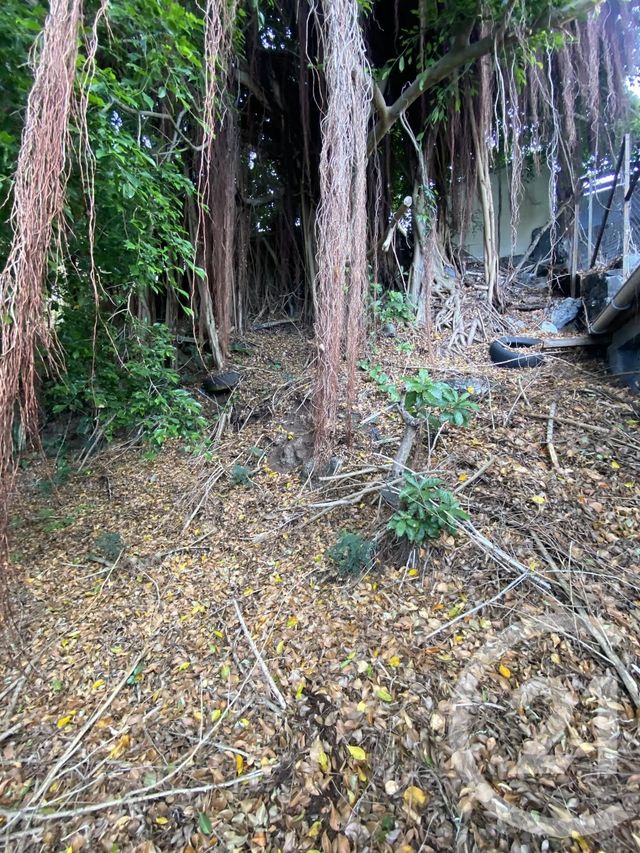 maison à vendre - 5 pièces - 162.0 m2 - ST DENIS - 974 - REUNION - Century 21 Lancastel