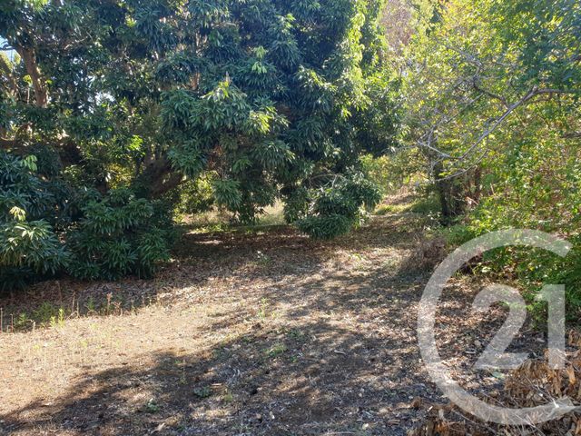 terrain - ST PAUL - 974