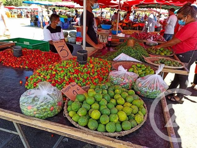 maison à vendre - 4 pièces - 60.35 m2 - ST DENIS - 974 - REUNION - Century 21 Lancastel