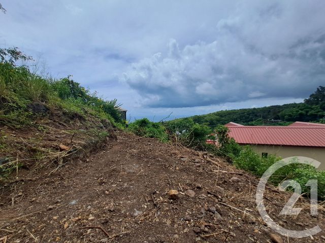 terrain à vendre - 645.0 m2 - LA POSSESSION - 974 - REUNION - Century 21 Lancastel
