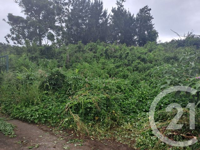 terrain à vendre - 645.0 m2 - LA POSSESSION - 974 - REUNION - Century 21 Lancastel