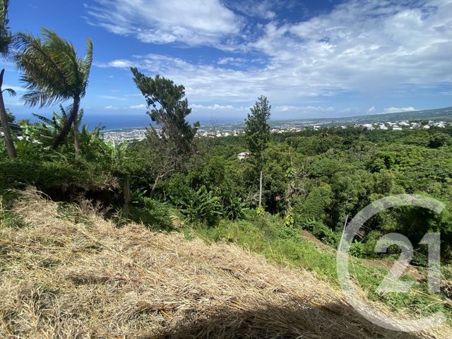 maison à vendre - 6 pièces - 121.0 m2 - ST DENIS - 974 - REUNION - Century 21 Lancastel