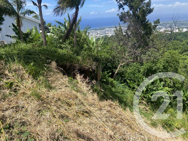 maison à vendre - 6 pièces - 121.0 m2 - ST DENIS - 974 - REUNION - Century 21 Lancastel