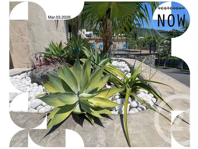 maison à vendre - 7 pièces - 317.53 m2 - ST DENIS - 974 - REUNION - Century 21 Lancastel