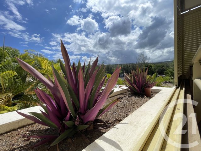 Appartement F3 à vendre - 3 pièces - 71.2 m2 - ST PAUL - 974 - REUNION - Century 21 Lancastel