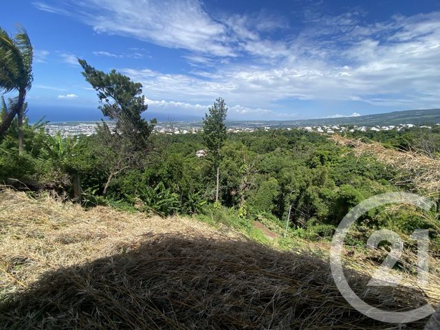 maison à vendre - 5 pièces - 120.0 m2 - ST DENIS - 974 - REUNION - Century 21 Lancastel
