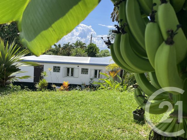 maison à vendre - 5 pièces - 148.0 m2 - STE SUZANNE - 974 - REUNION - Century 21 Lancastel