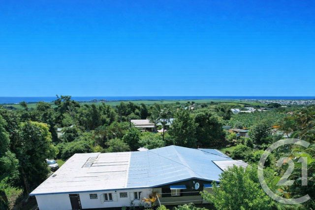 maison - STE SUZANNE - 974