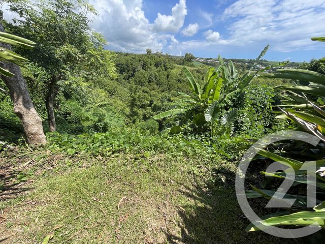 maison à vendre - 5 pièces - 148.0 m2 - STE SUZANNE - 974 - REUNION - Century 21 Lancastel