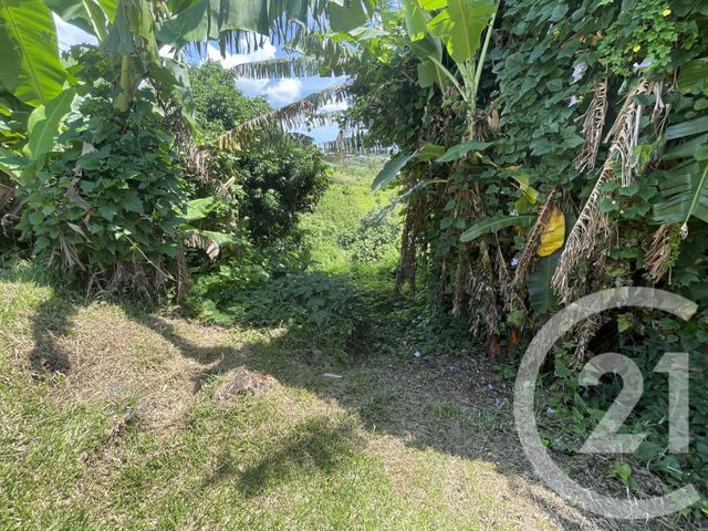 maison à vendre - 5 pièces - 148.0 m2 - STE SUZANNE - 974 - REUNION - Century 21 Lancastel