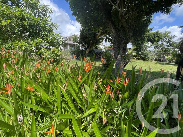 maison à vendre - 5 pièces - 148.0 m2 - STE SUZANNE - 974 - REUNION - Century 21 Lancastel