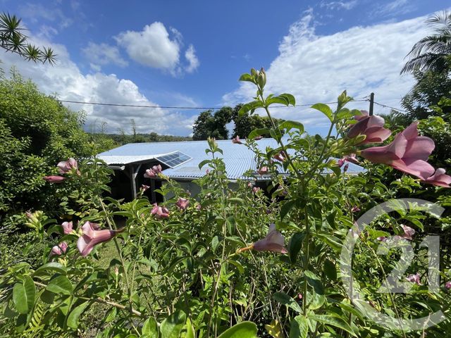 maison à vendre - 5 pièces - 148.0 m2 - STE SUZANNE - 974 - REUNION - Century 21 Lancastel