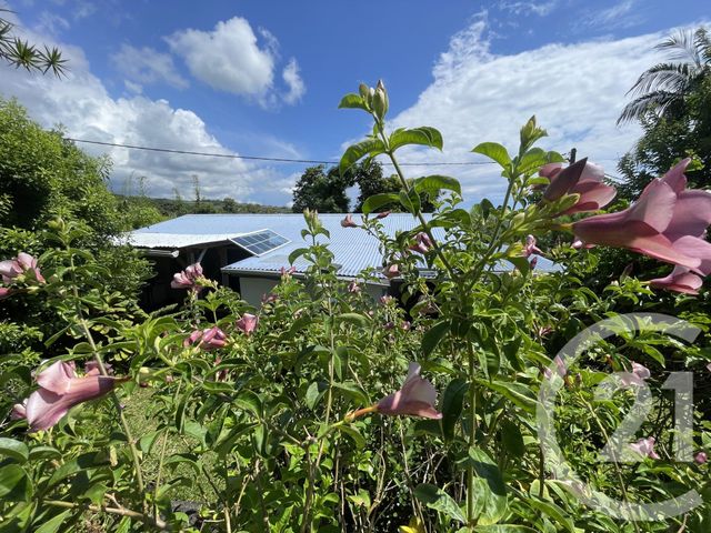 maison à vendre - 5 pièces - 148.0 m2 - STE SUZANNE - 974 - REUNION - Century 21 Lancastel